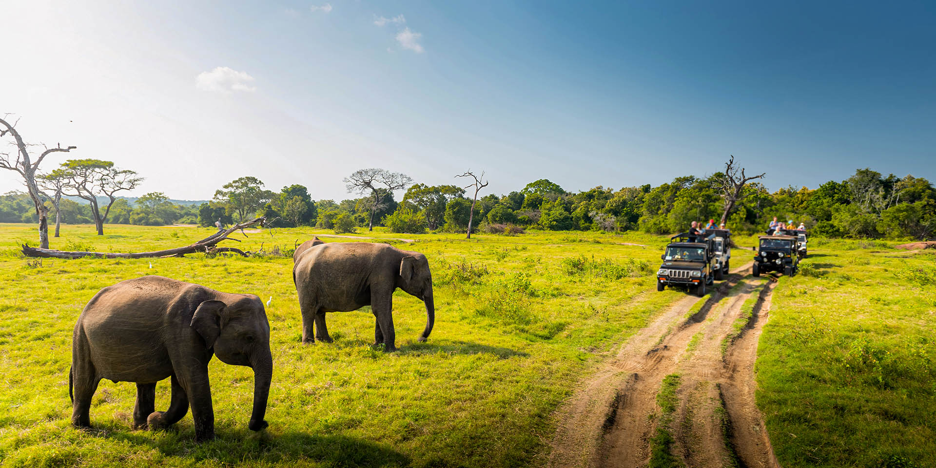 スリランカ2日間ツアーパッケージ