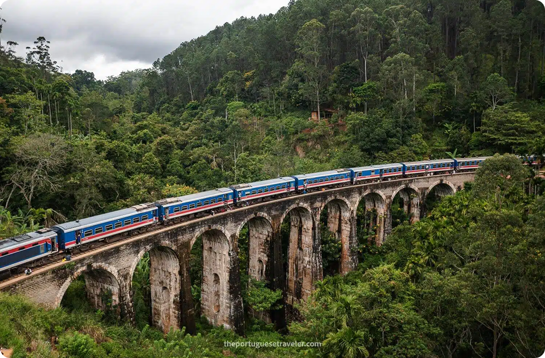 スリランカ8日間ツアーパッケージ