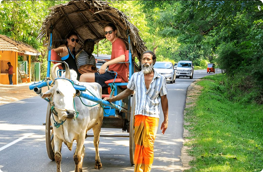 sigiriya-village-tour